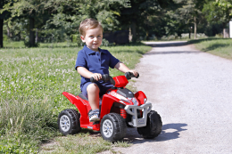 Polaris Mini 6V