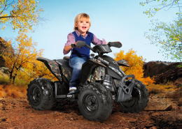 Polaris Outlaw Camo 330W 12V