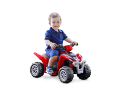 Polaris Mini 6V